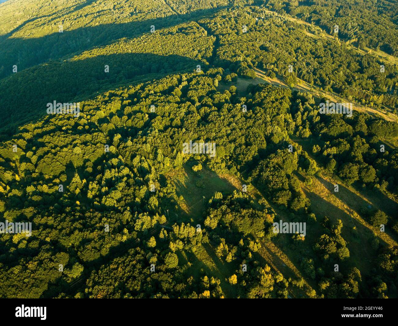 An aerial view of mountain forests with dense green trees and shadows ...