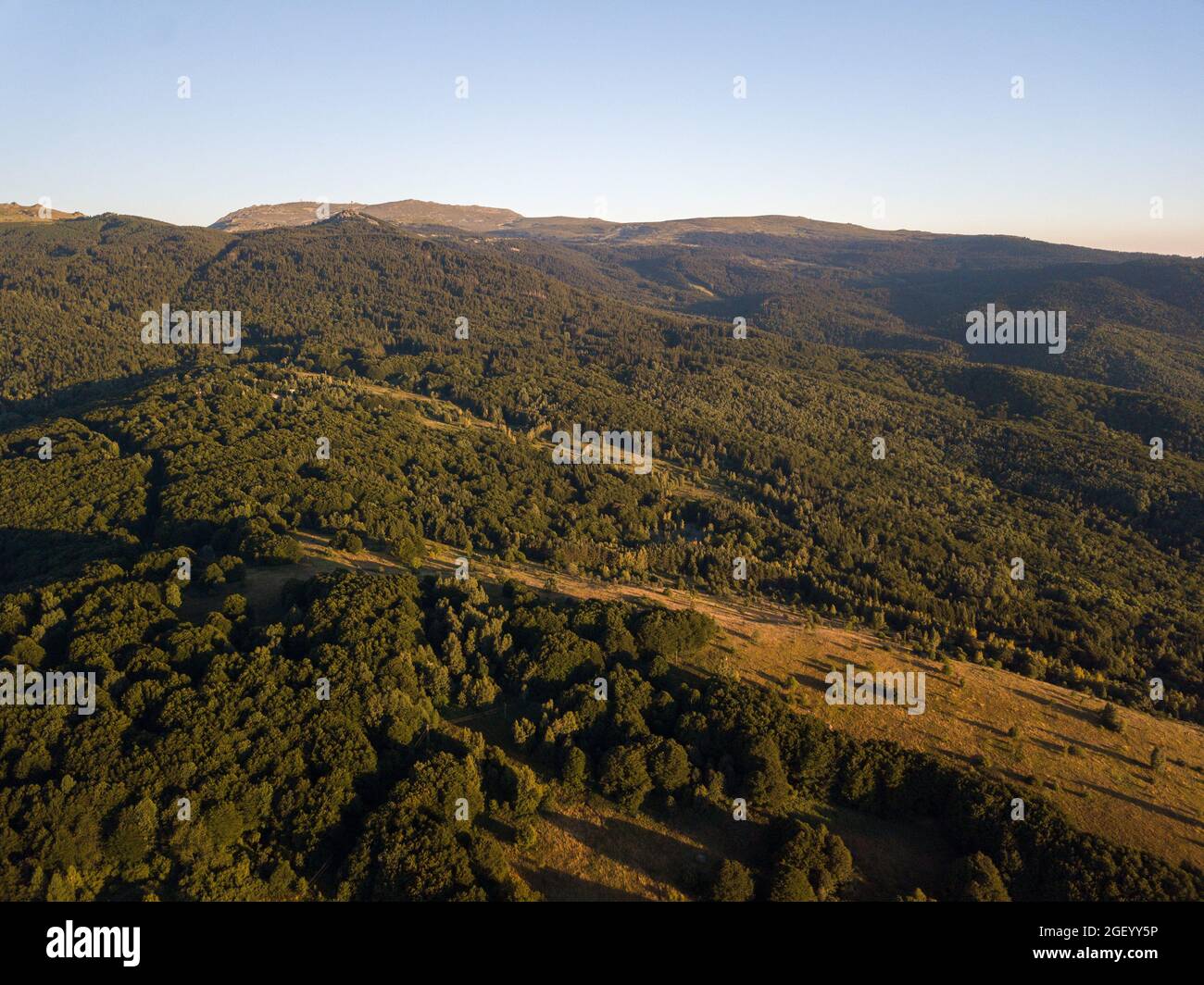 An aerial view of mountain forests with dense green trees under a blue ...