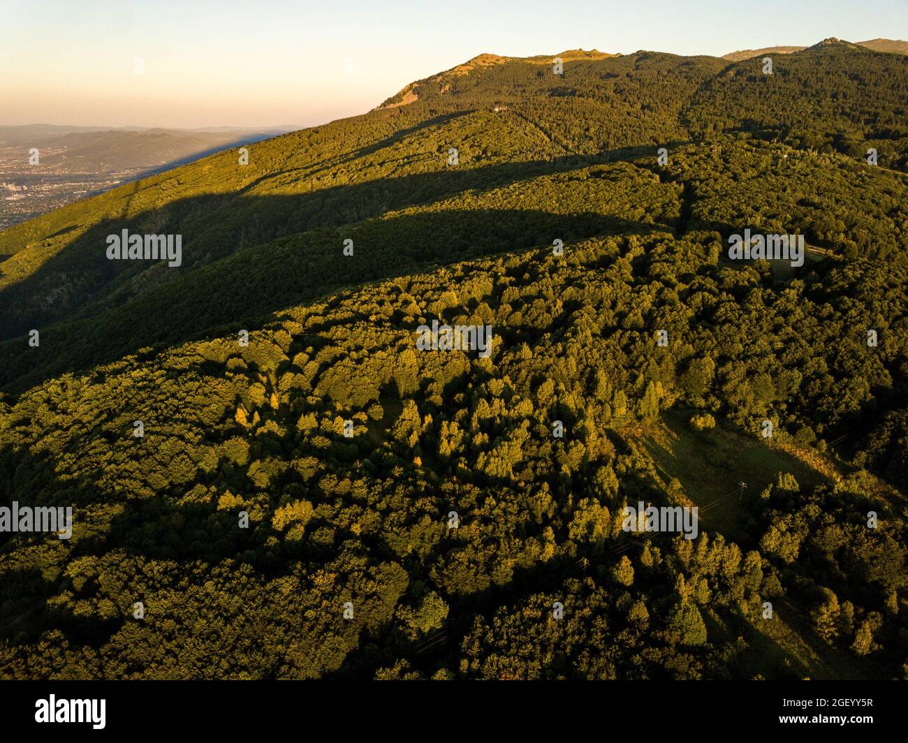 An aerial view of mountain forests with dense green trees under a clear ...