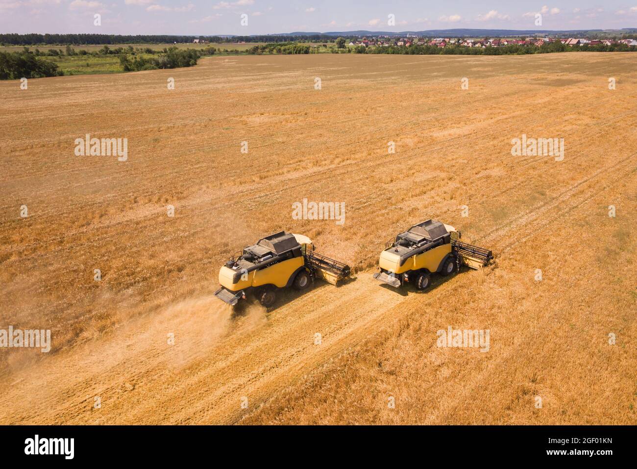 Aerial view of combine harvesters harvesting large yellow ripe wheat ...