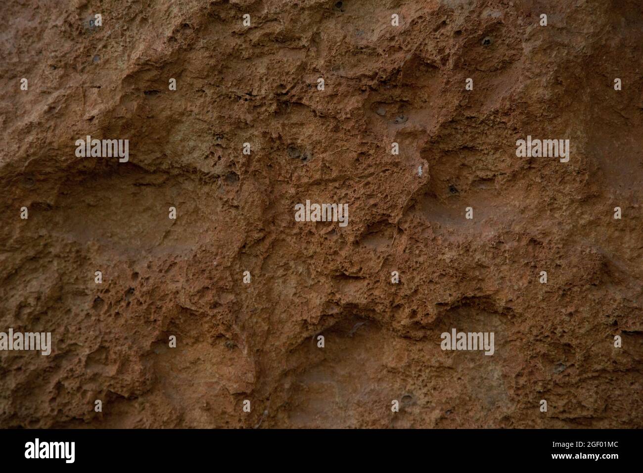 Stone texture with various smooth and porous shapes Stock Photo