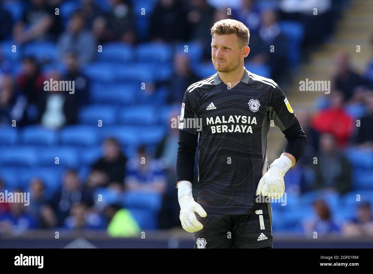 Cardiff City Football Club - Here's a new PC/Mac wallpaper for all # CardiffCity fans. Pullout poster next Weds v Foxes