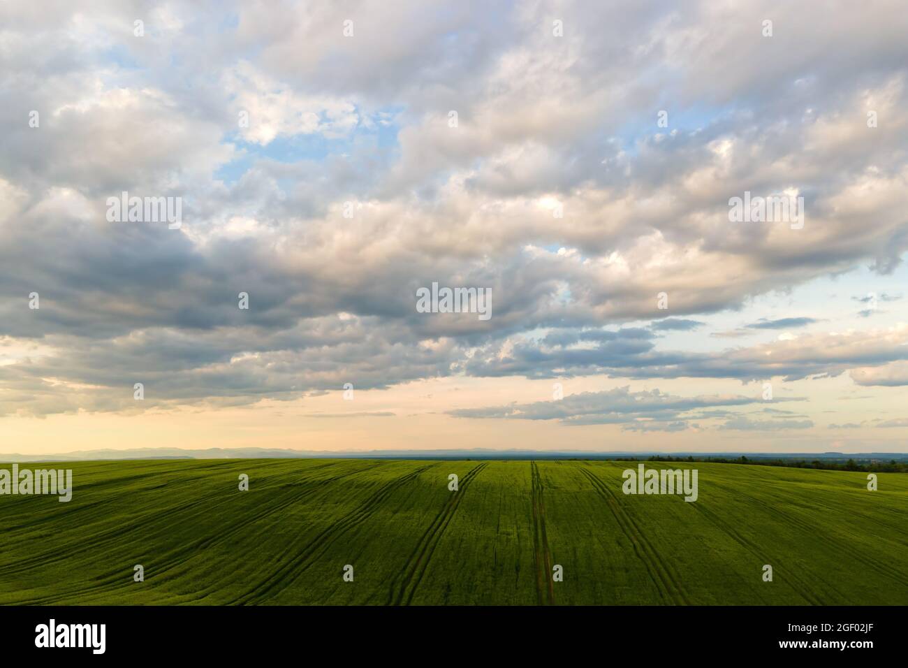 Aerial landscape view of green cultivated agricultural fields with ...