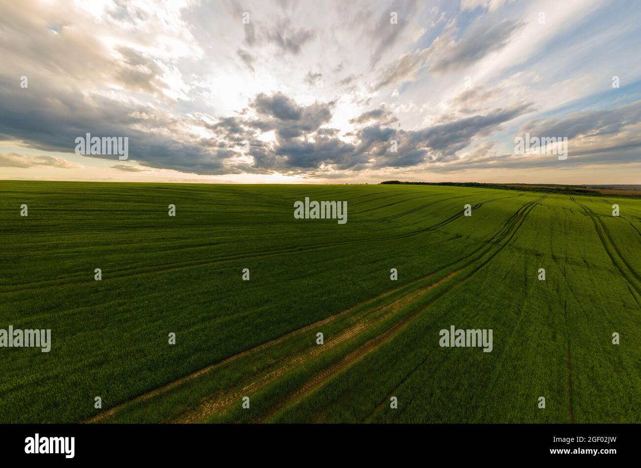 Aerial landscape view of green cultivated agricultural fields with ...