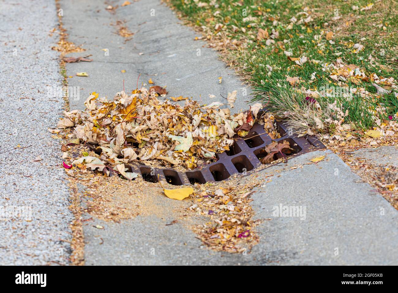 Storm sewer grate clogged with leaves. Flooding prevention, surface water runoff and public infrastructure concept Stock Photo