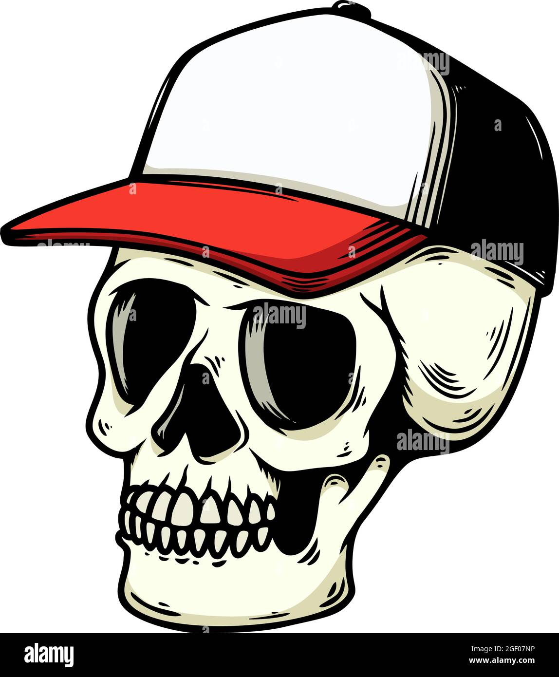 human skull in baseball cap isolated 