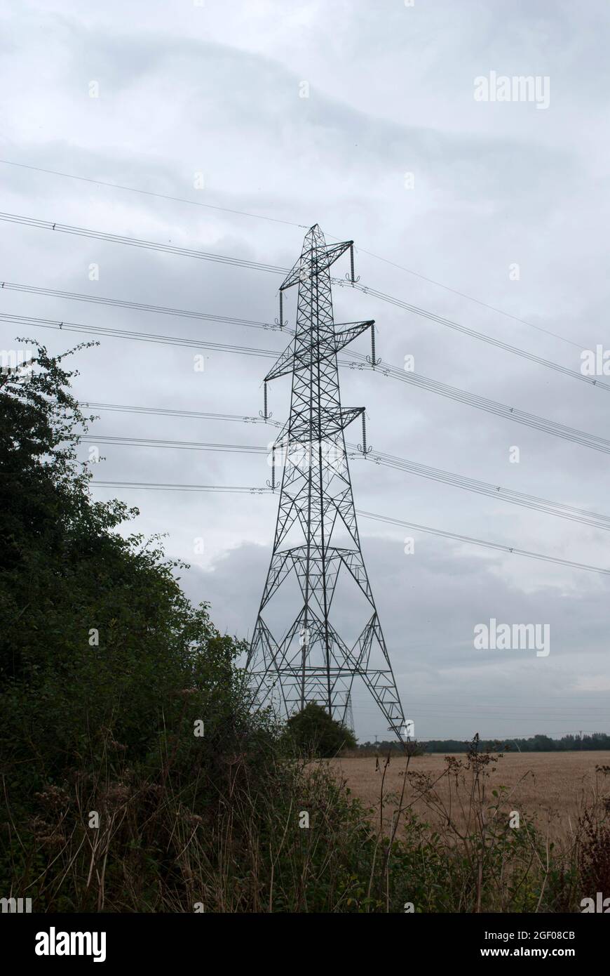 Electricity pylon against a gloomy cloudy grey sky in a corn field with ...