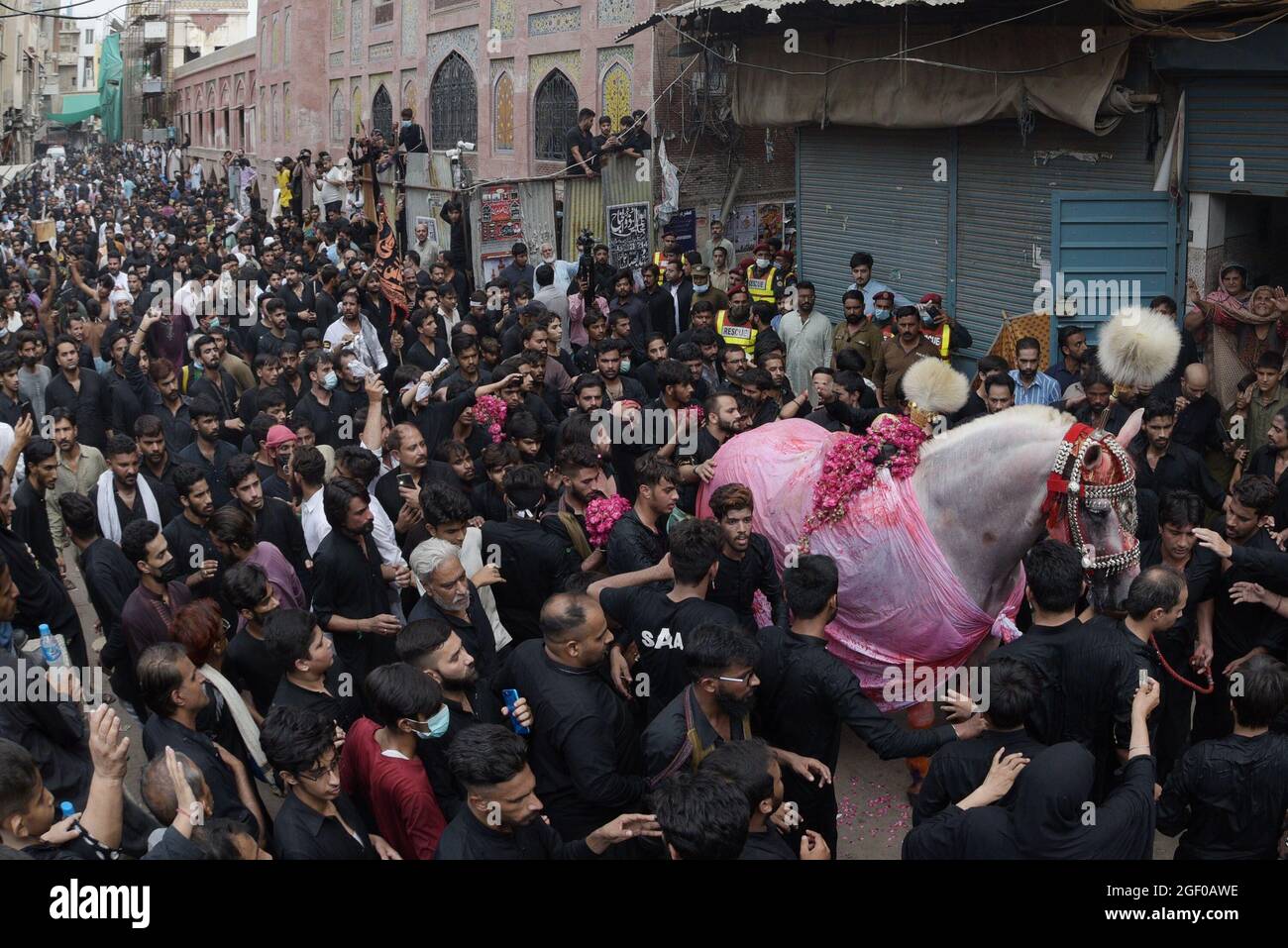 (8/19/2021) Pakistani Shiite Muslim take a part in a procession to mark ...