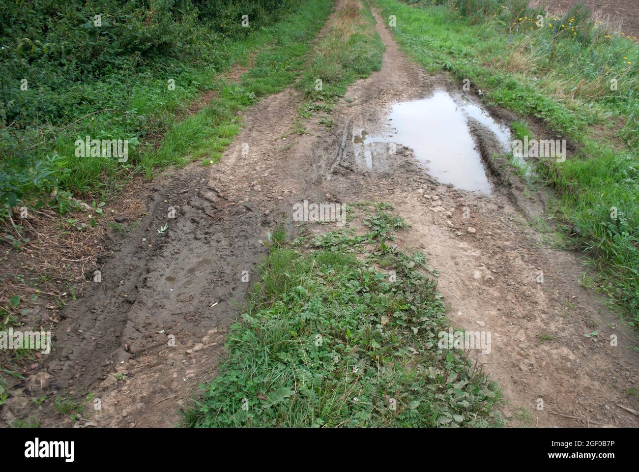 Puddle filled path hi-res stock photography and images - Alamy