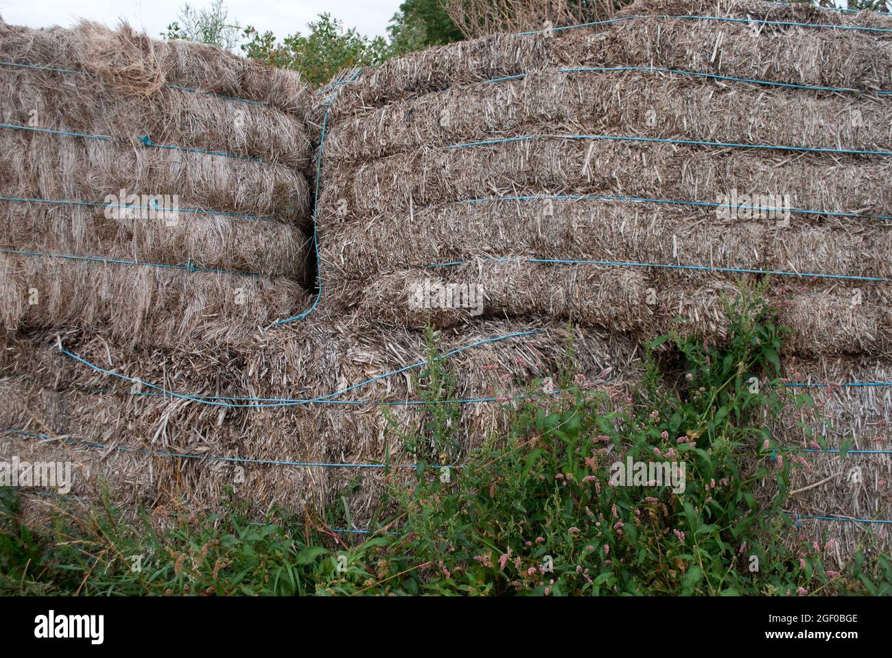 Wall of old straw bales with weeds and concrete in front Stock Photo
