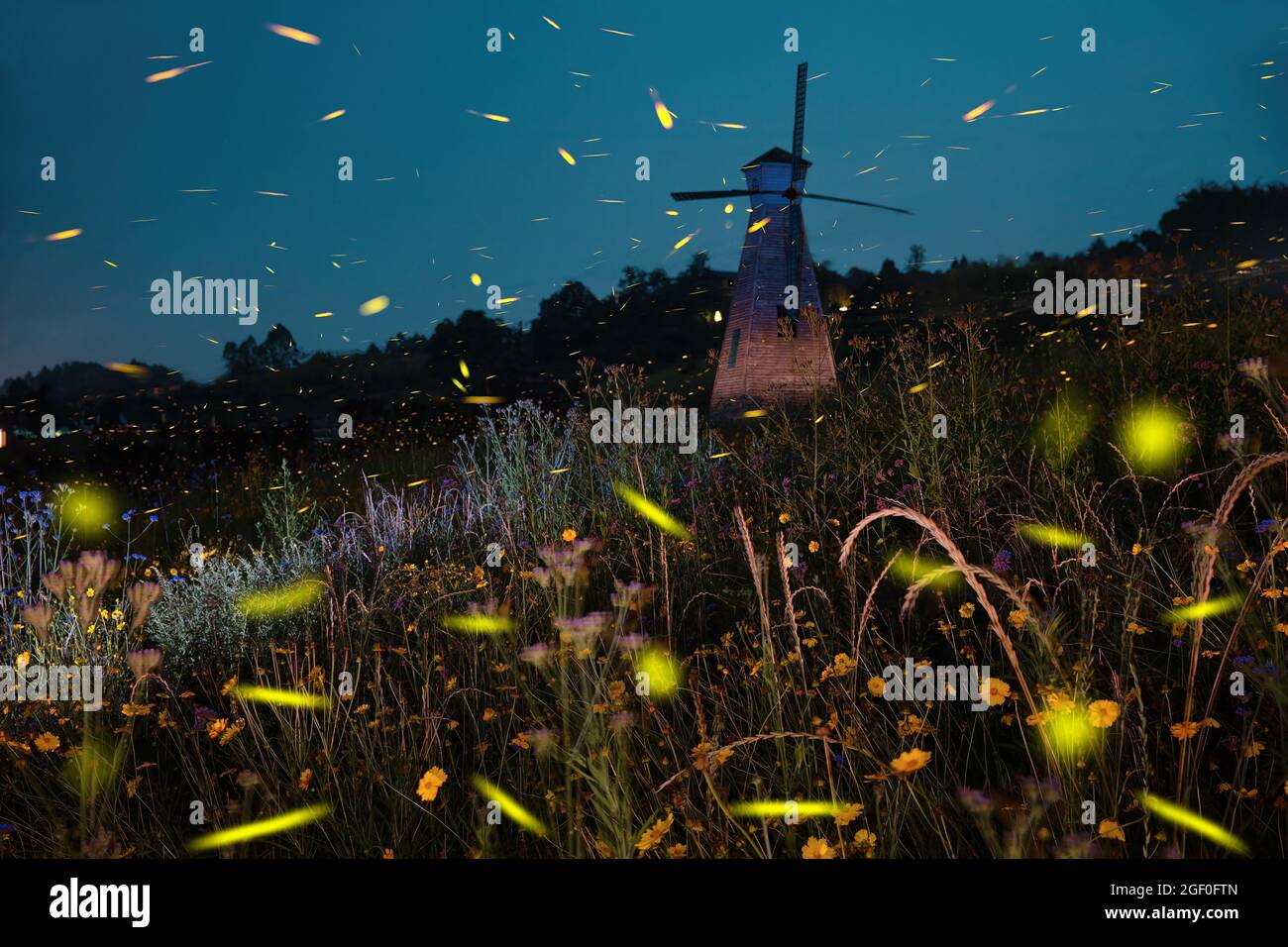 Chongqing countryside - fireflies Stock Photo