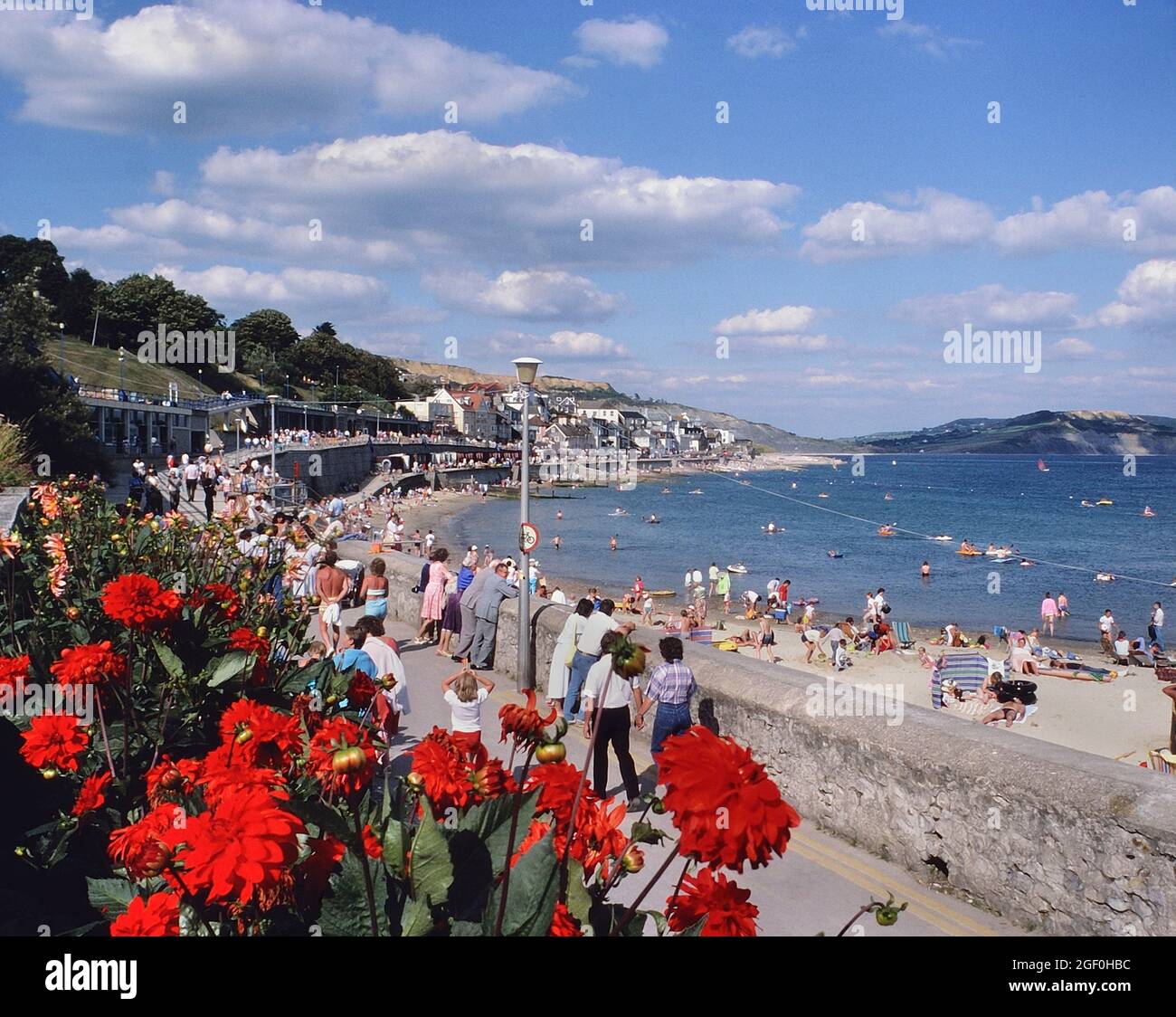 The seafront in summer. Lyme Regis, Dorset, England, UK Stock Photo