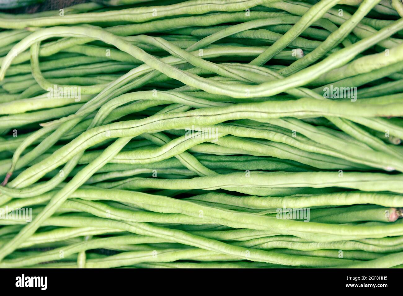 Vegetables and fruits from Sri Lanka markets long green pods of beans