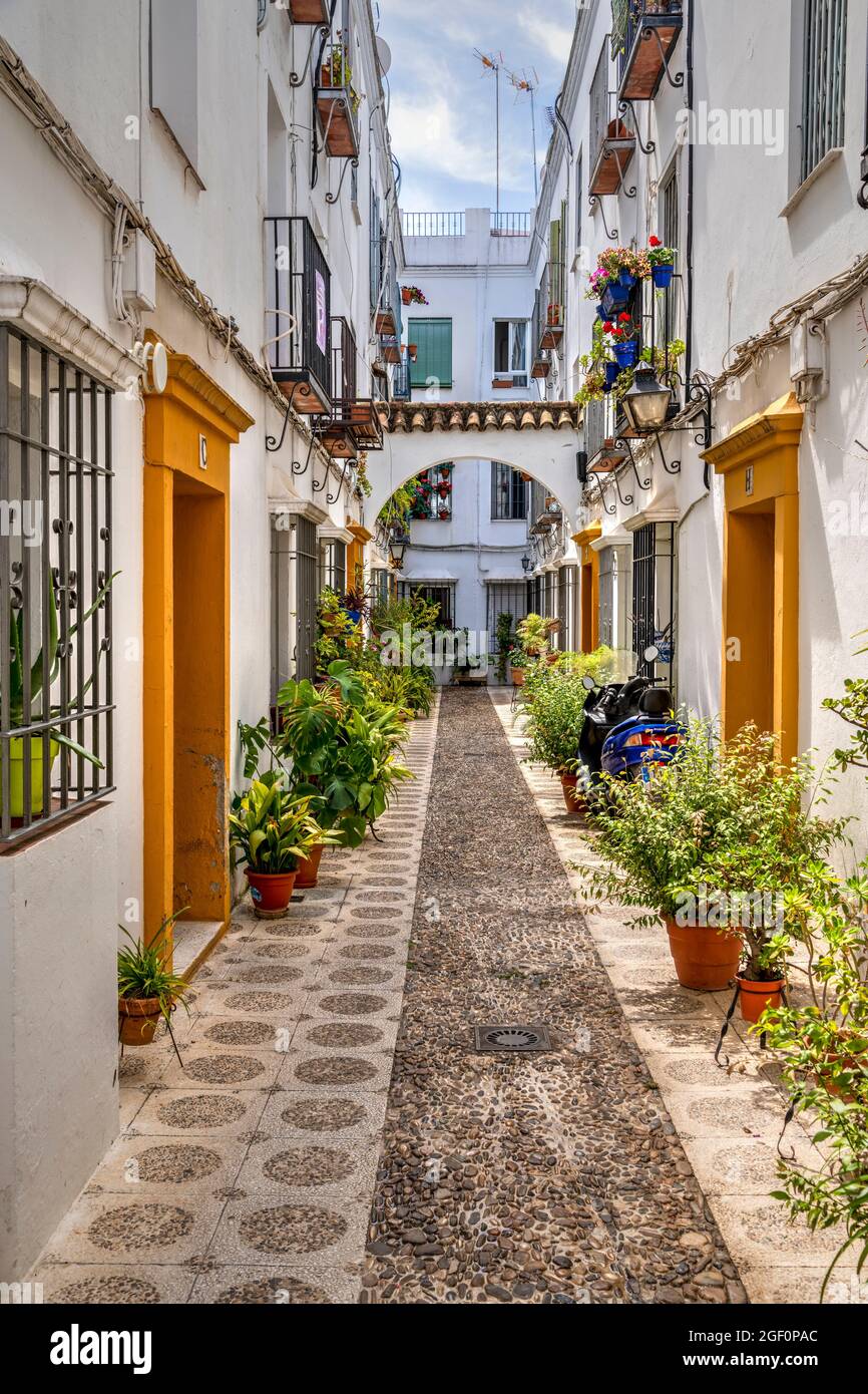 Picturesque cobbled alley with whitewashed houses and flowers, Cordoba, Andalusia, Spain Stock Photo