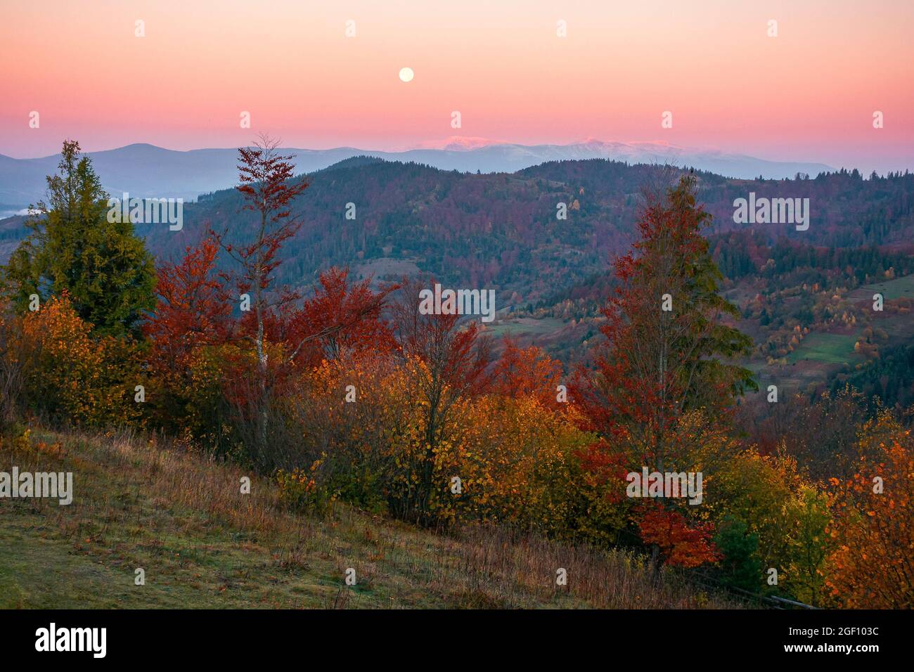 moon rise above snow covered ridge. wonderful autumn landscape of carpathian mountains in late autumn. nature scenery at twilight Stock Photo
