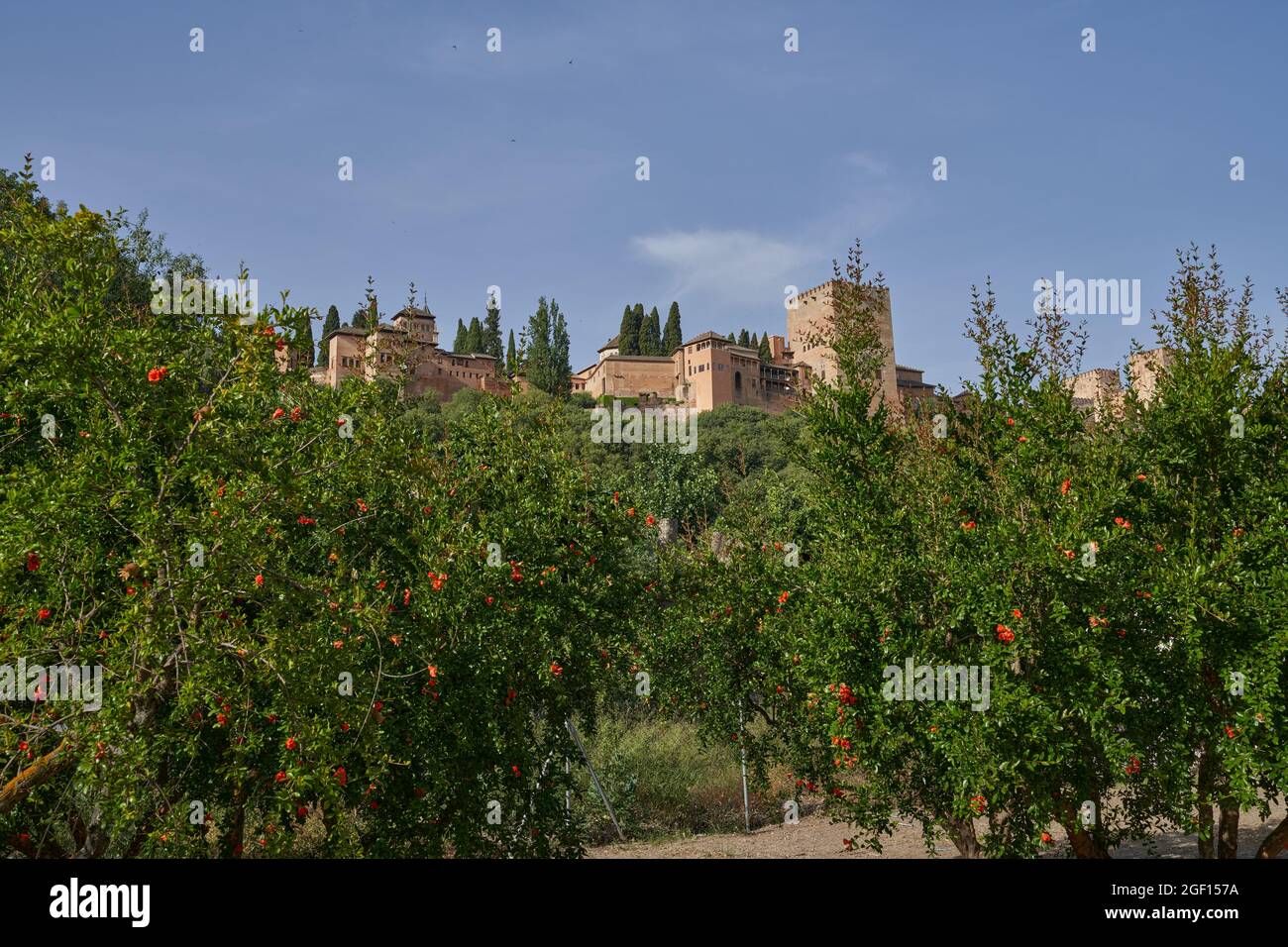 Monumental Alhambra in Granada from the Cordoba gardens in Spain.  Stock Photo