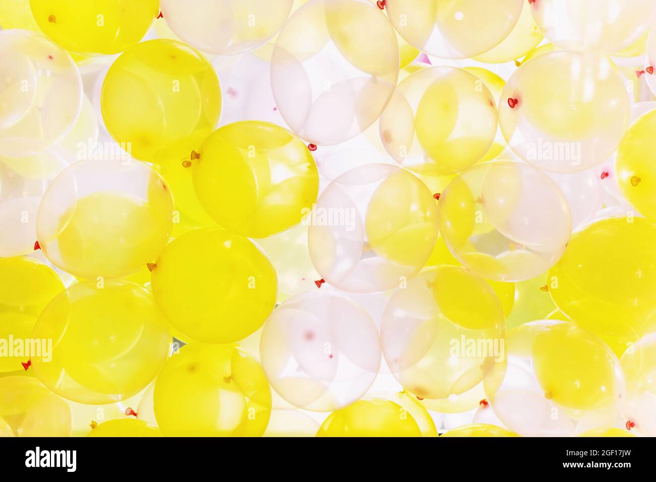 Background made of yellow and white balloons. Stock Photo