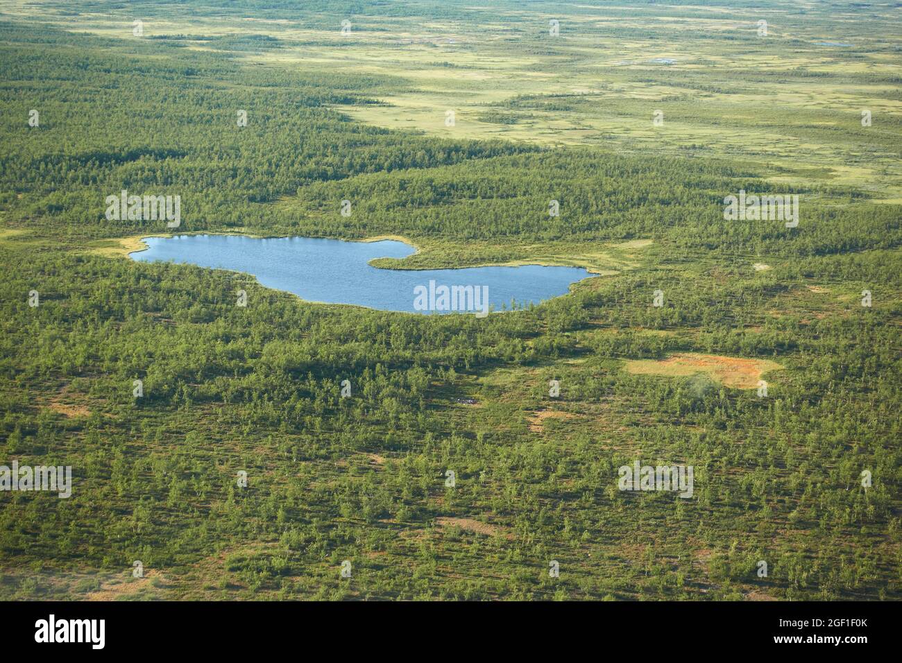 Aeriel view to Kiruna wilderness from helicopter with small lake or pond in the middle of the swamps and trees in far north of Swedish Lapland. Stock Photo
