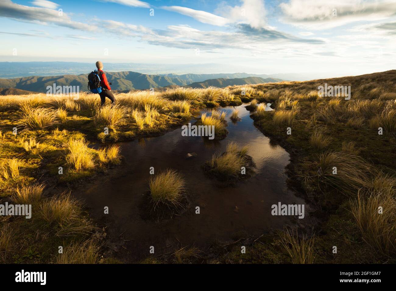 Marchant Hill High Resolution Stock Photography and Images - Alamy
