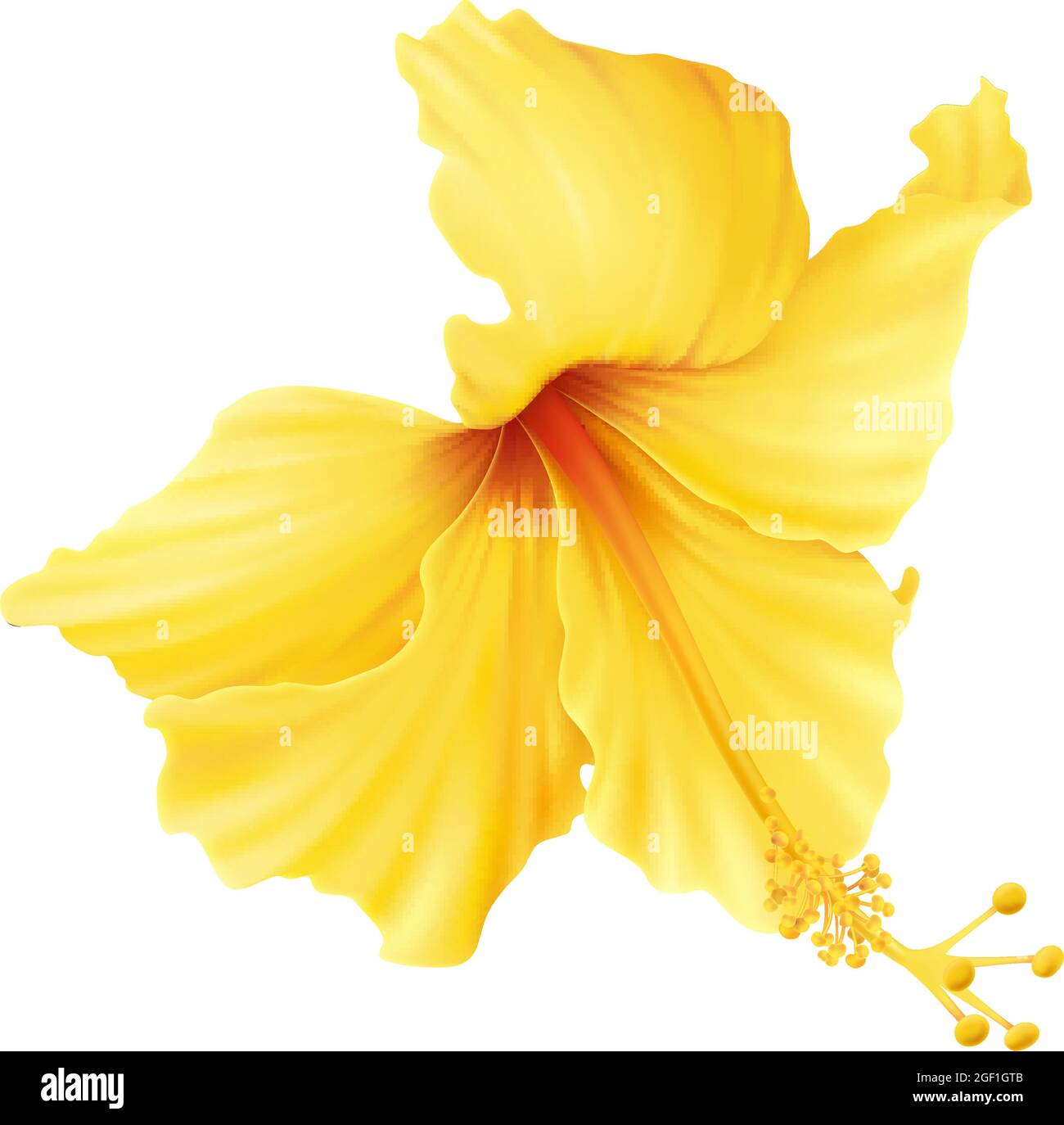 My Image 26