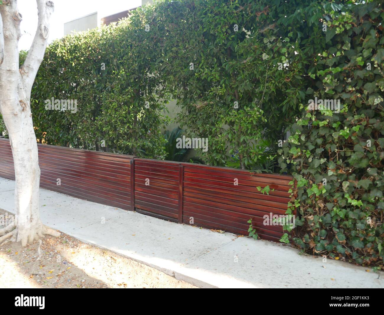 Los Angeles, California, USA 16th August 2021 A general view of