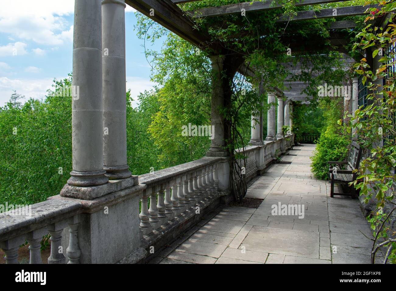 A tree and vine covered walkway in The Hill Garden and Pergola