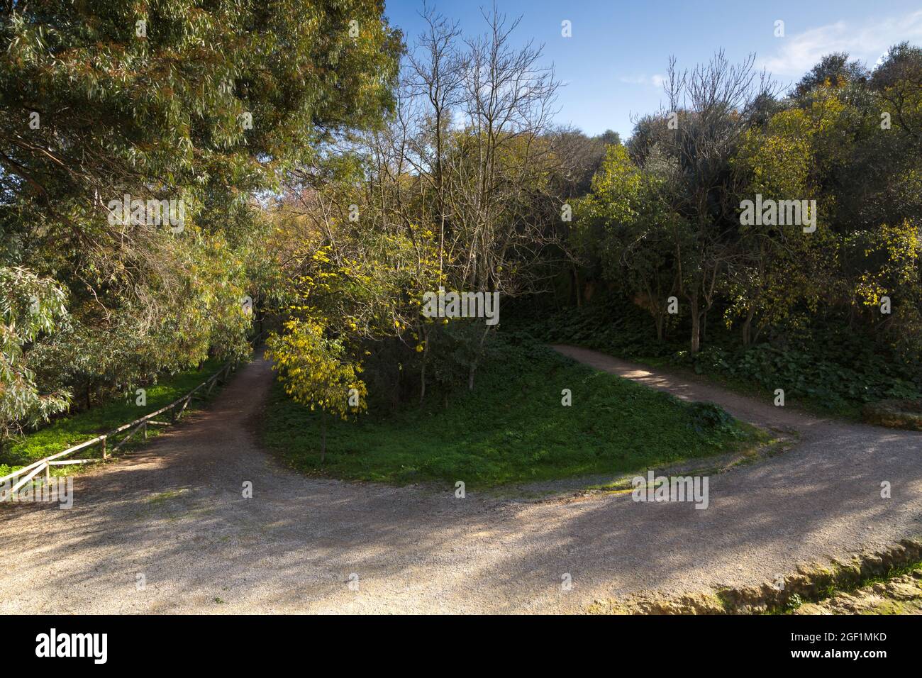 Landscaped picture of a pathway in an andalusian park Stock Photo