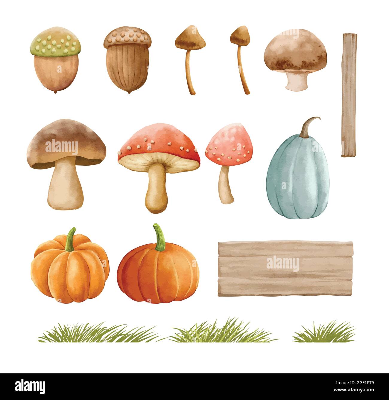 Mushrooms autumn set with grass in watercolor painting style. Mushrooms isolated on a white background. Stock Vector