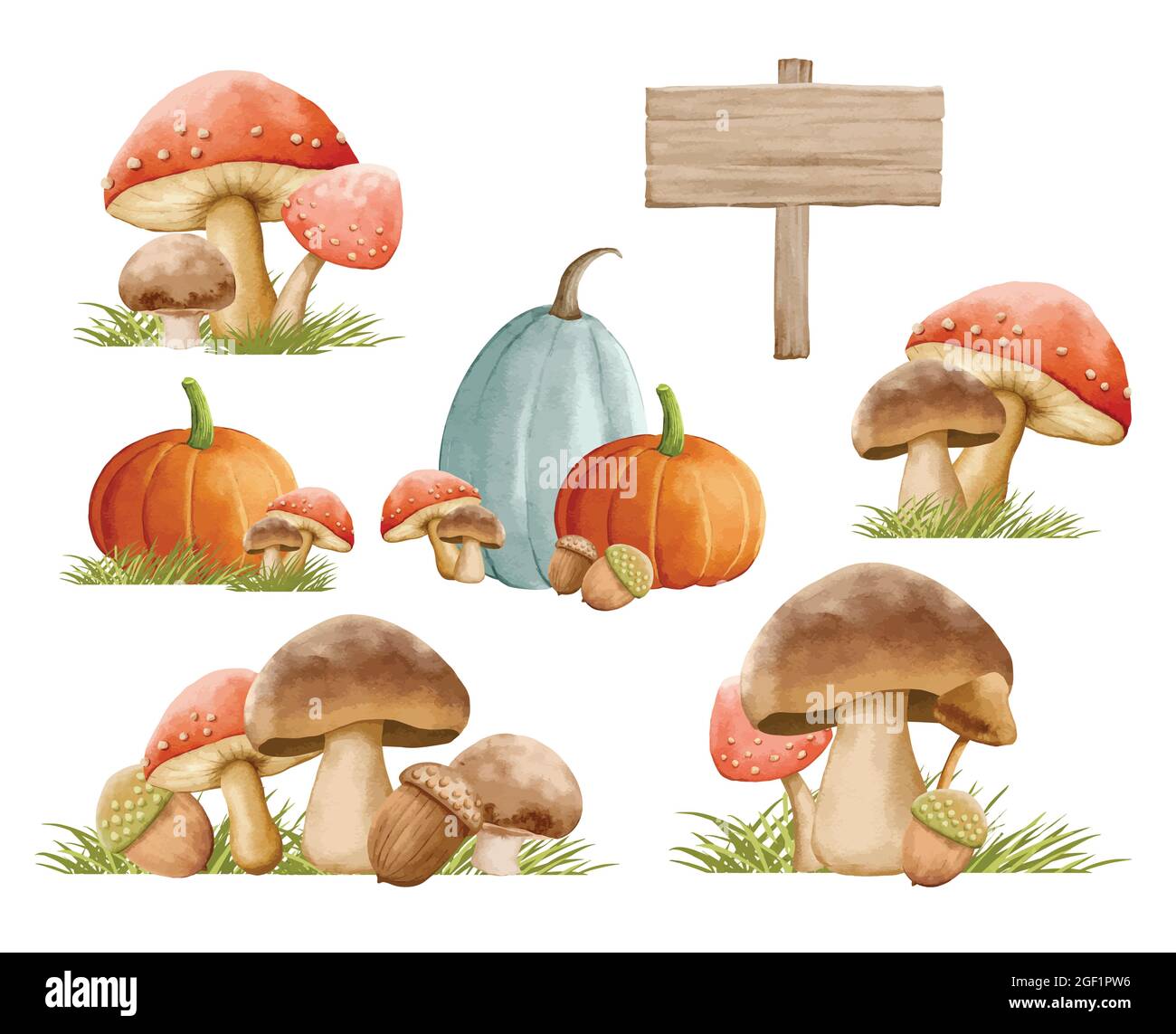 Mushrooms autumn set with grass in watercolor painting style. Mushrooms isolated on a white background. Stock Vector