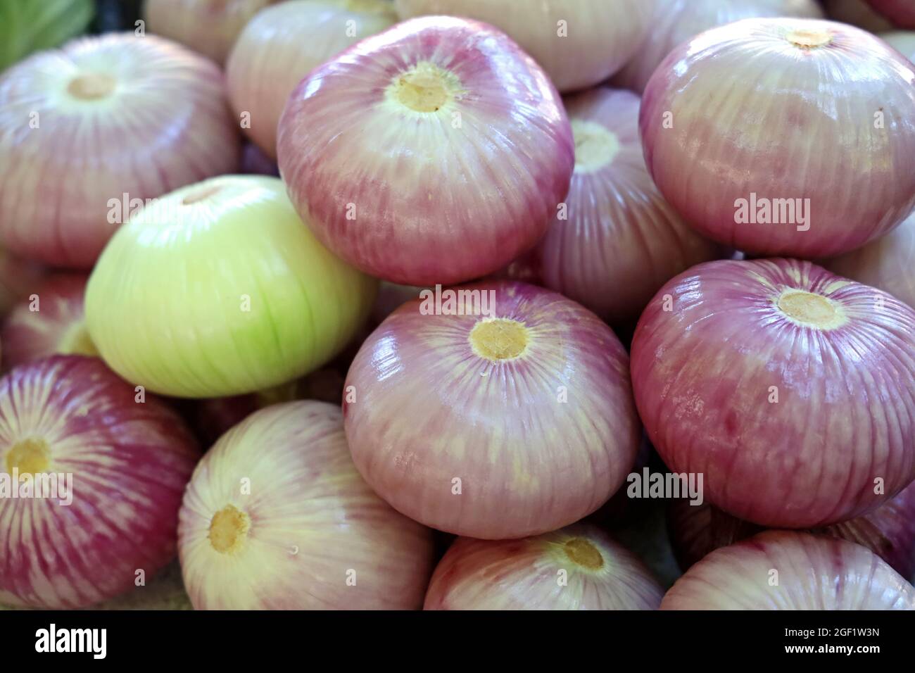heap of peeled onions for sale on market Stock Photo
