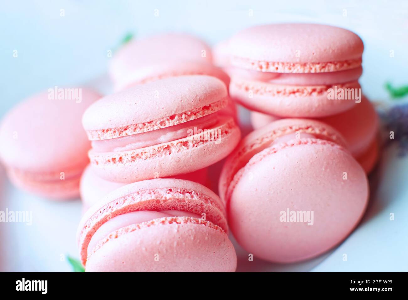 Sweet, tender and bright raspberries macarons on a white plate. Tasty french sweets. Stock Photo