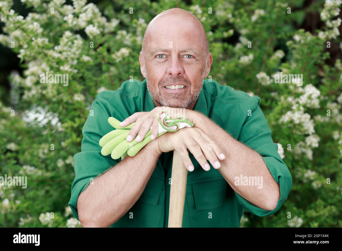 senior gardener leaning on a shovel Stock Photo - Alamy