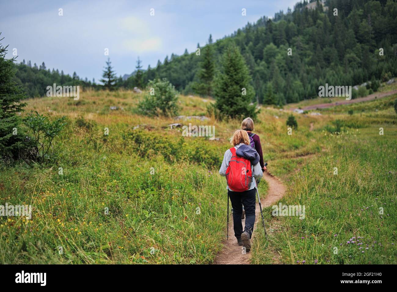 Female hiking with backpack hi-res stock photography and images - Alamy