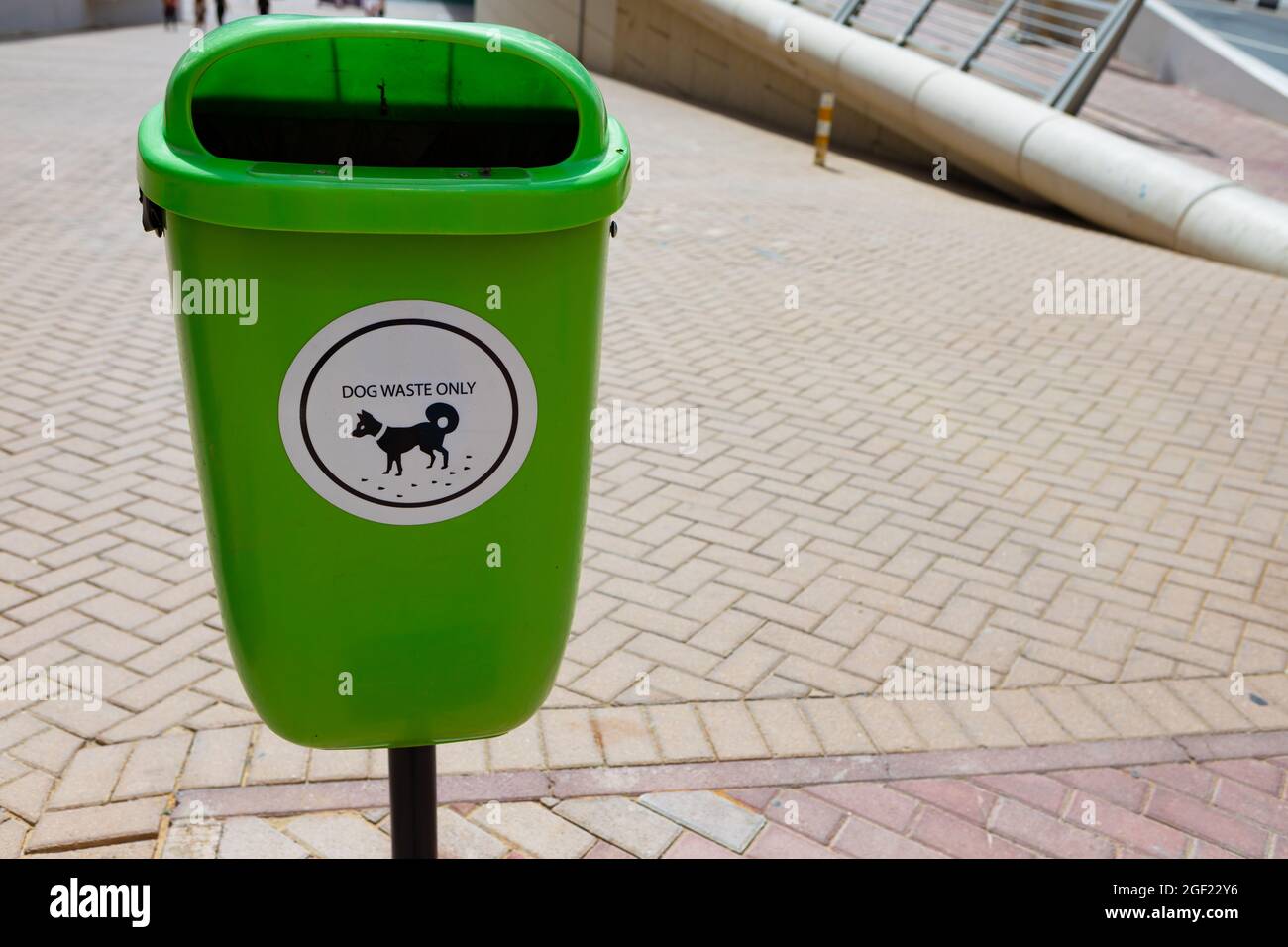 can you put dog poop in the green bin