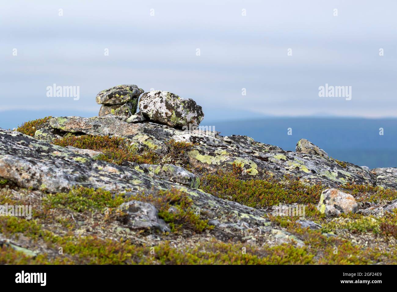 Stony landscape covered with mosses, lichen and shrubs in UKK National Park at Kiilopää, Northern Finland Stock Photo