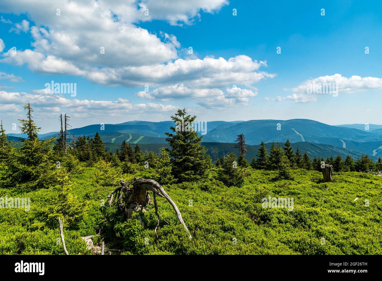 View from Spaleny vrch hill above Kouty nad Desnou in Jeseniky mountains in Czech republic Stock Photo