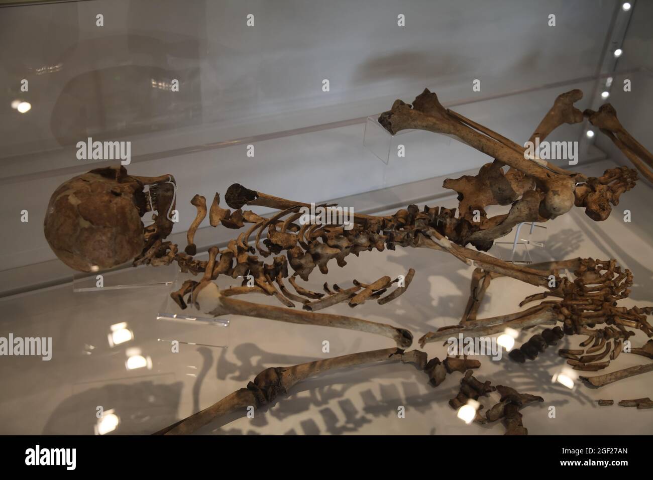 Llanbedr gogh skeleton, Sain Ffagan (St Fagans) National Museum of History, Cardiff, South Wales, August 2021 Stock Photo