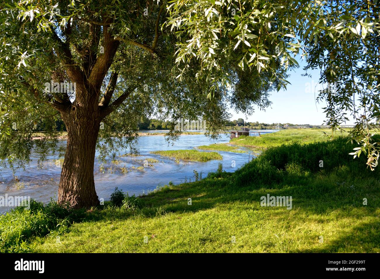 River Loire and willow at Chaumon, a commune in the Loir-et-Cher department in France. Stock Photo