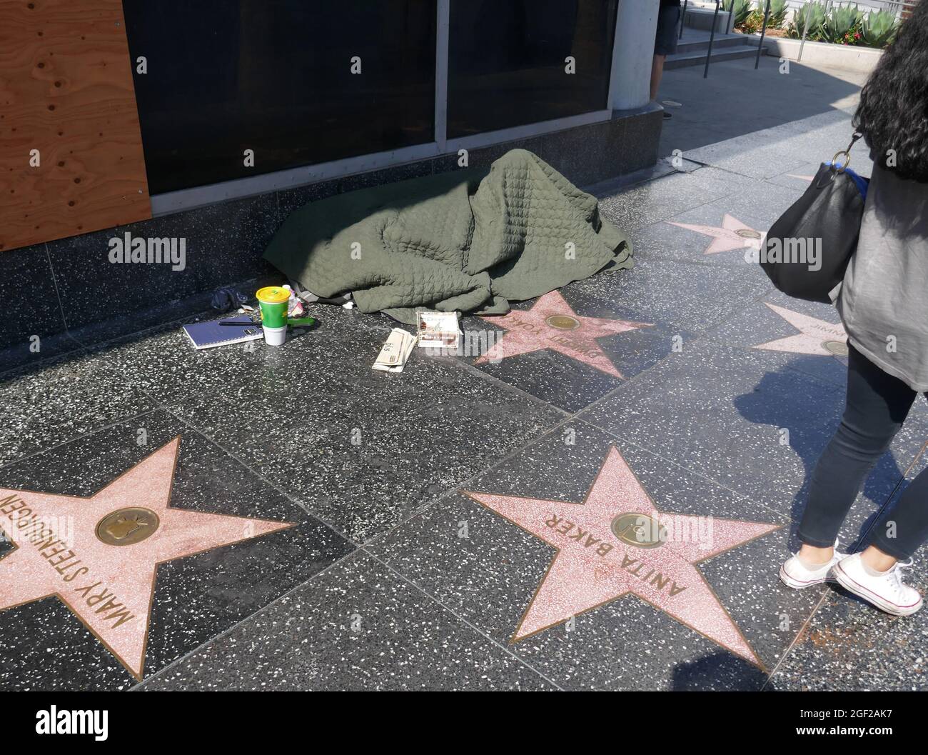 Artistic Hollywood Star Now Homeless After Scandals Abstract for Your Screen Artistic Hollywood Star Now Homeless After Scandals Abstract for Your Screen