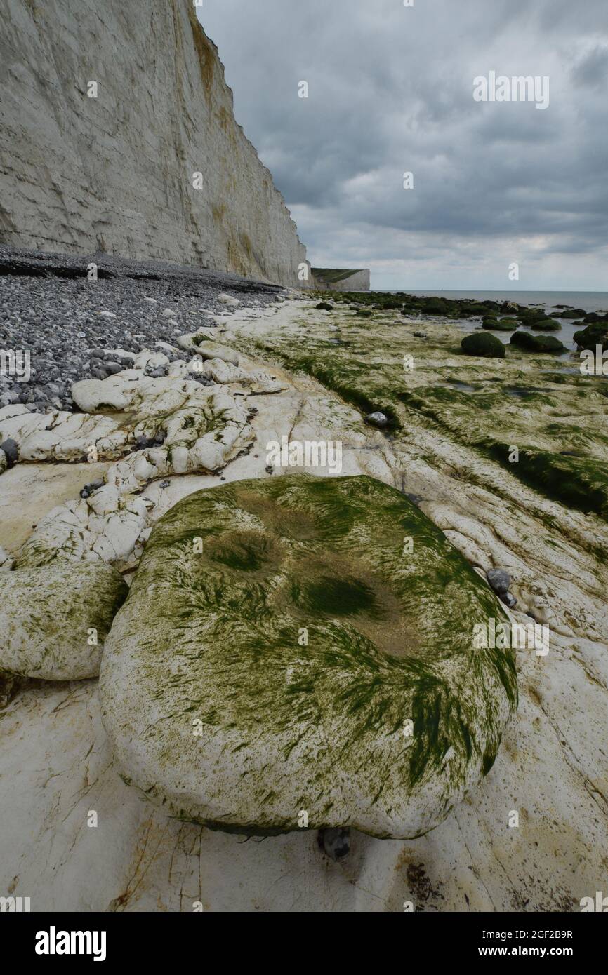Chalk cliffs at Birling Gap on he Sussex Coast Stock Photo
