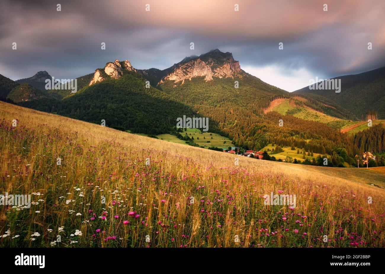 Mountain landscape with wild flowers meadow - Long exposure Stock Photo