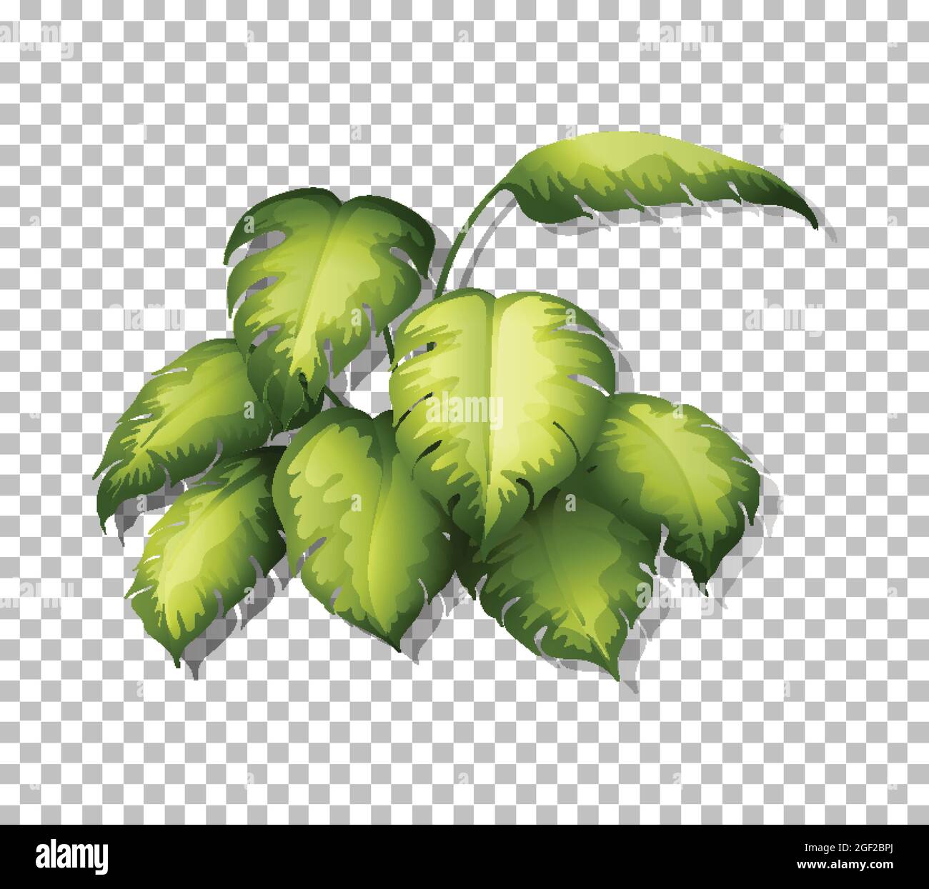 Tropical leaves on transparent background illustration Stock Vector ...