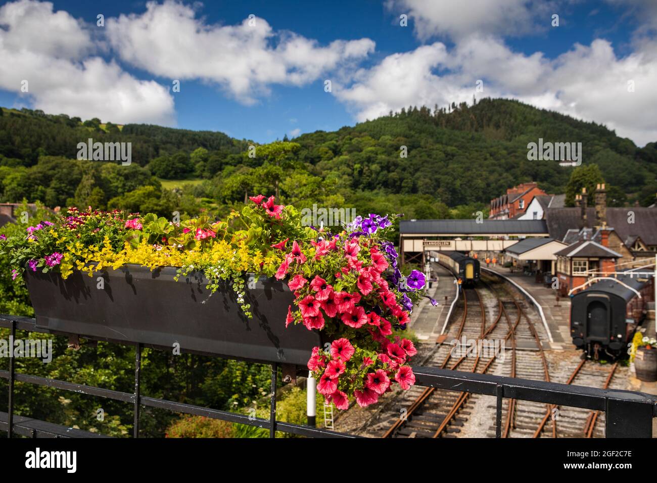 UK Wales, Clwyd, Llangollen, Mill Street, floral display at Llangollen Railway station Stock Photo