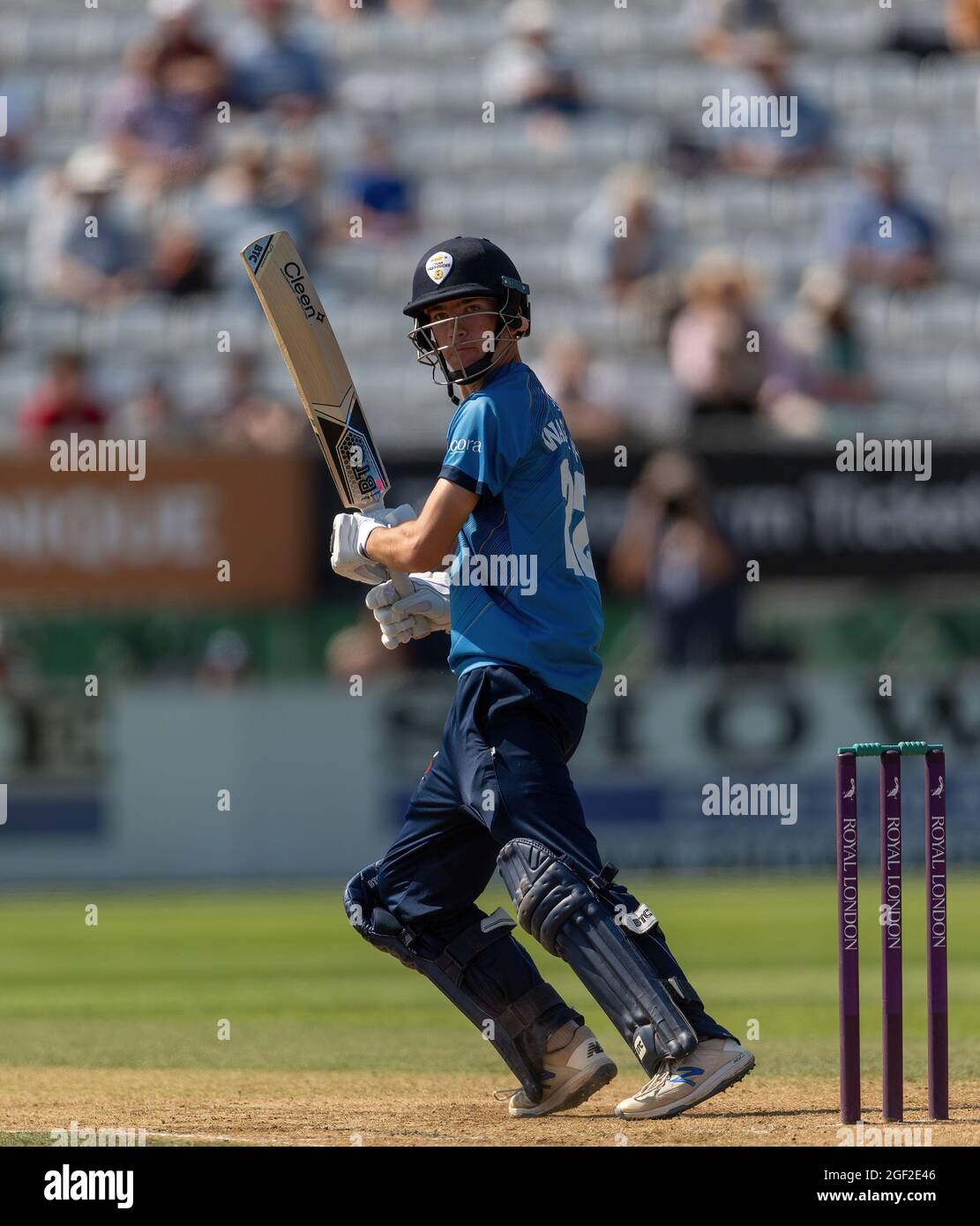 Mitch Wagstaff batting for Derbyshire in a Royal London Cup match against Surrey Stock Photo
