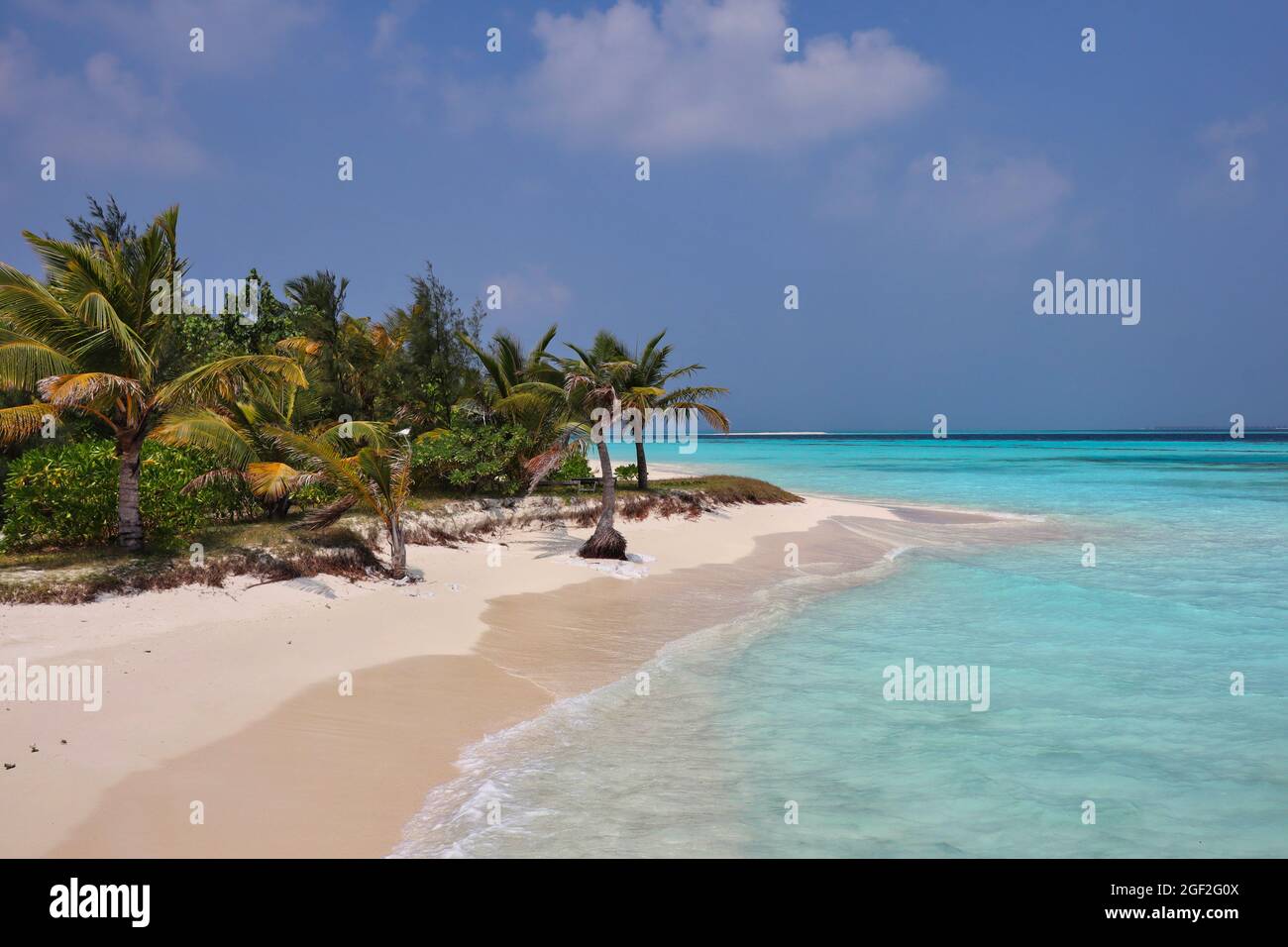 Beautiful View of Idyllic Beach in Maldives Resort with Sandy Shore and Turquoise Sea. Palm Tree, Coast, Sunny Day, Maldivian Island, Indian Ocean. Stock Photo