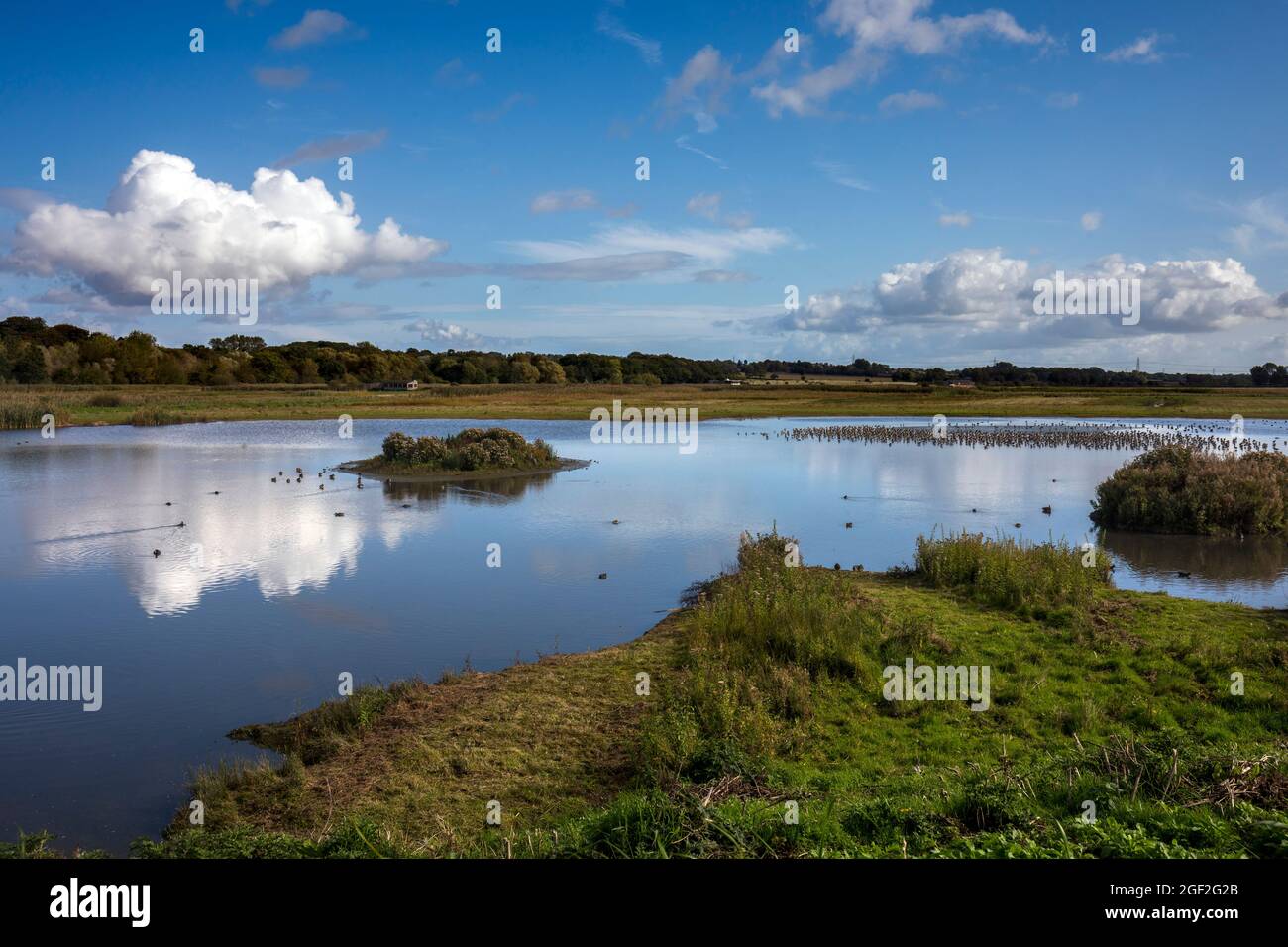 Burton Mere; RSPB Reserve; Cheshire; UK Stock Photo - Alamy