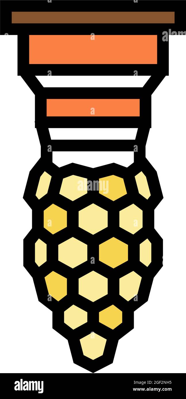 bee queen production beekeeping color icon vector illustration Stock