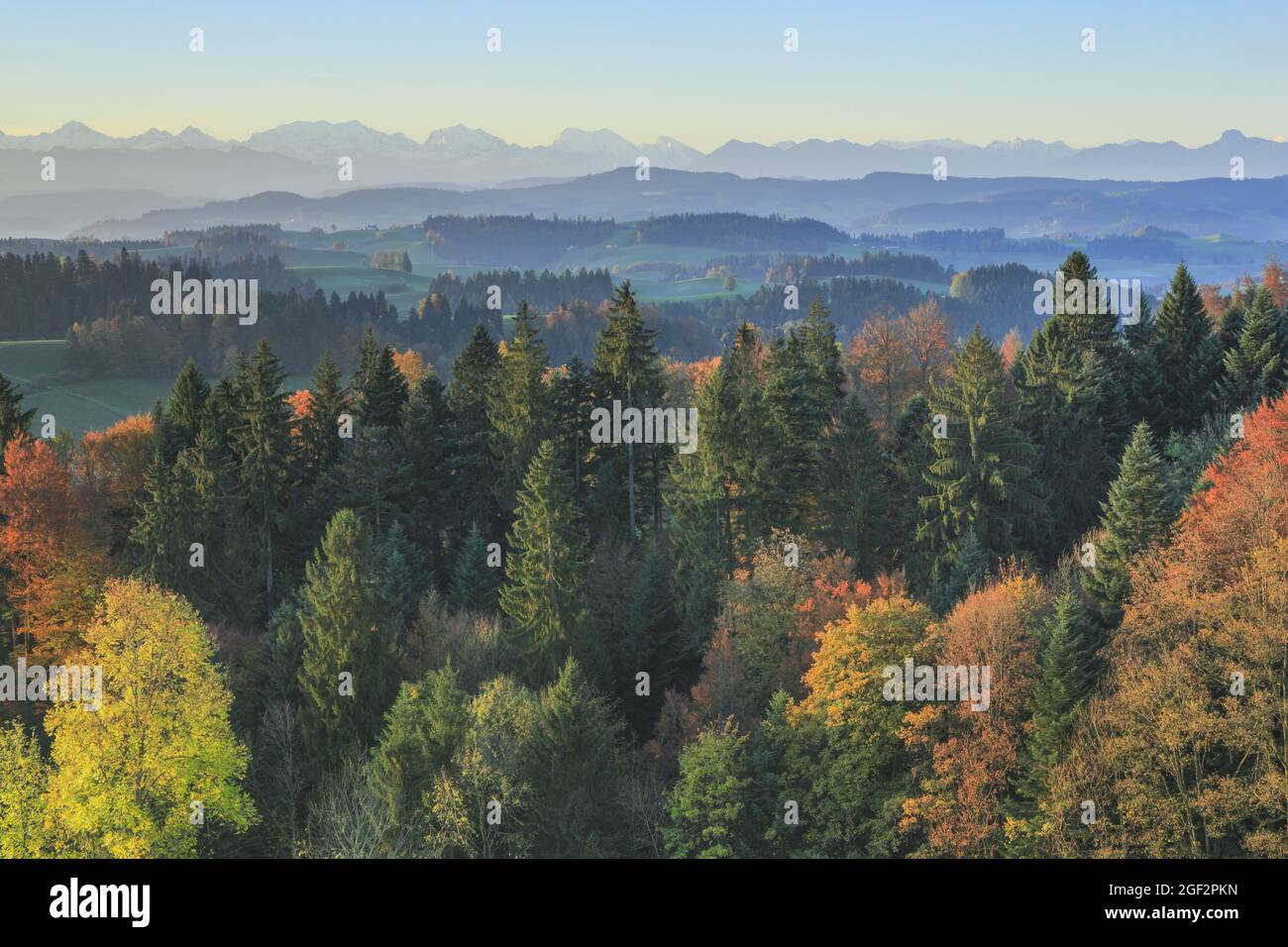Emmental, hilly landcape in autumn, Switzerland, Bernese Alps Stock Photo