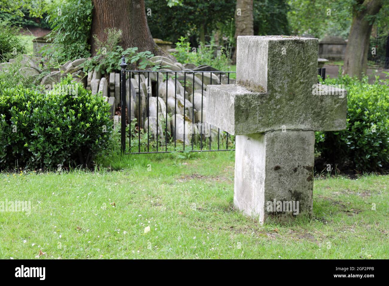 The Hardy Tree in the graveyard of St Pancras Old Church Stock Photo