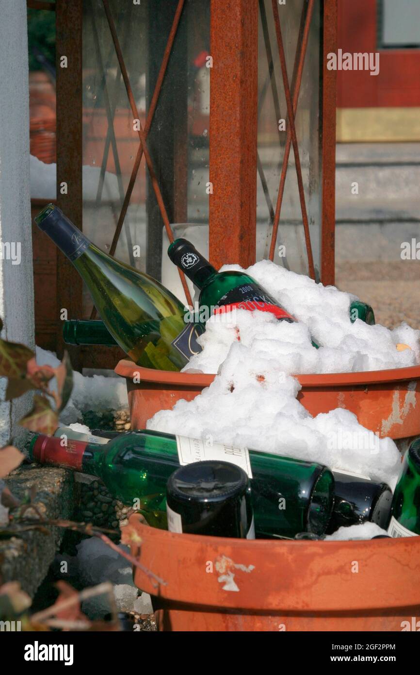 empty wine bottles in large flower pots in winter , Austria Stock Photo